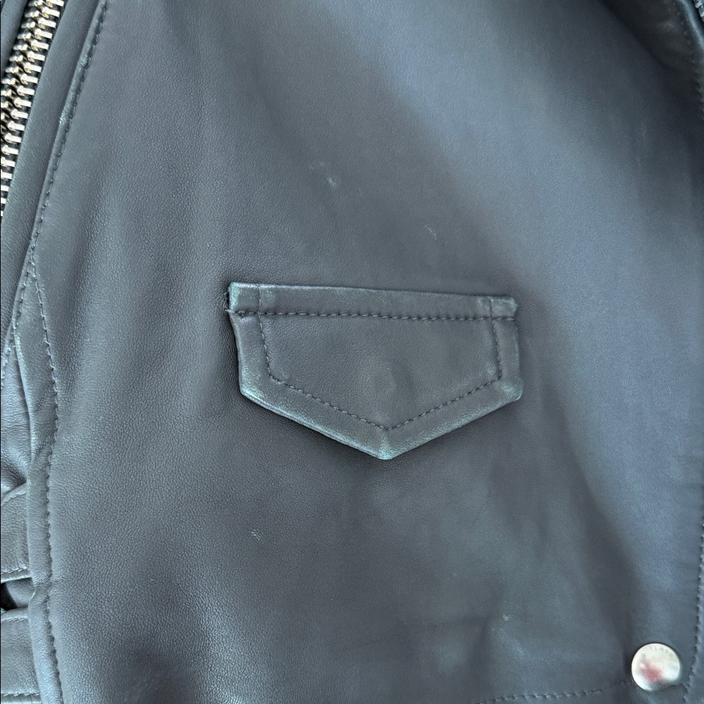 IRO Gray Ashville Leather BikerJacket - Picture 10 of 12